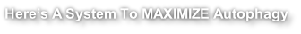 Here’s A System To MAXIMIZE Autophagy