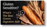 Gluten Digest - Biotics Research