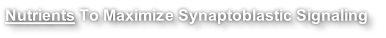 Nutrients To Maximize Synaptoblastic Signaling